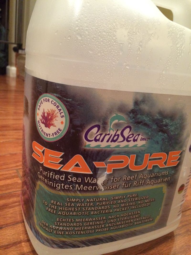 The ocean water I used.