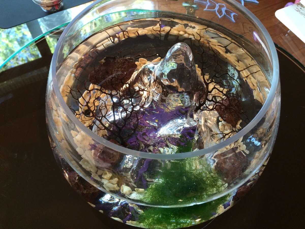 Overhead view. The purple underneath is my coaster.