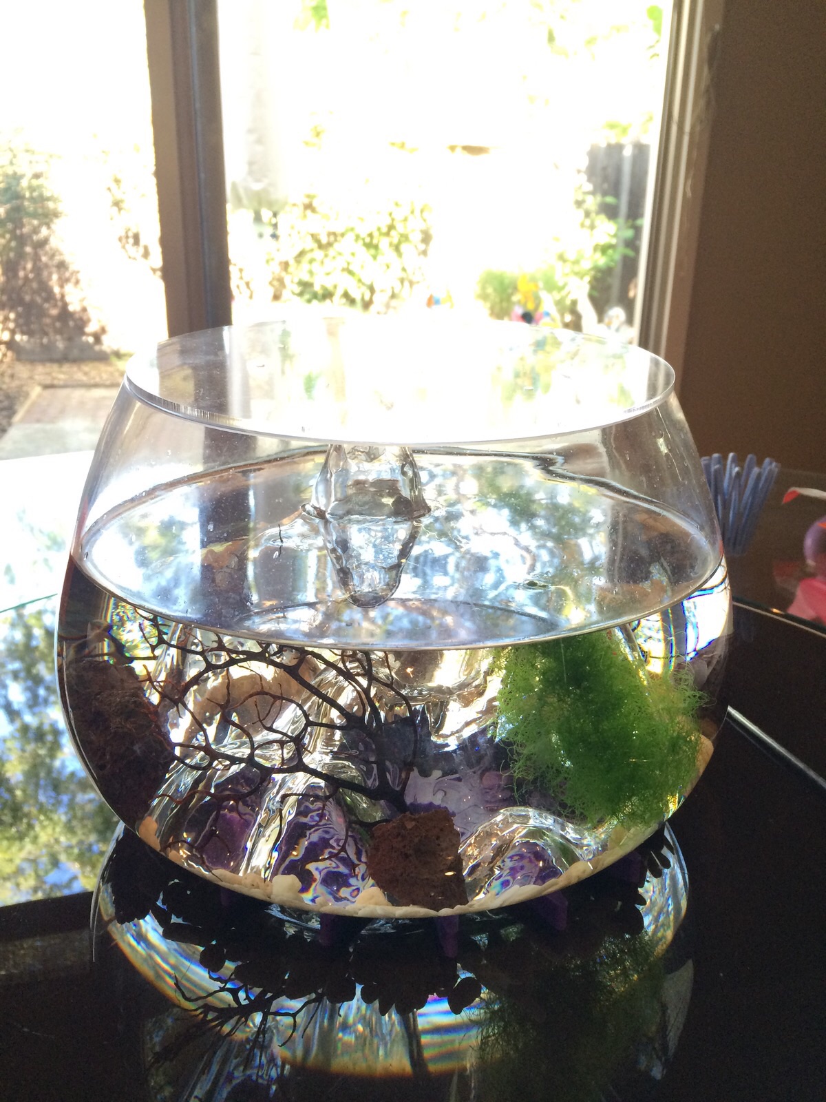 With the acrylic dust cover on. It has 8 holes drilled in it for air and I lift it off daily too.