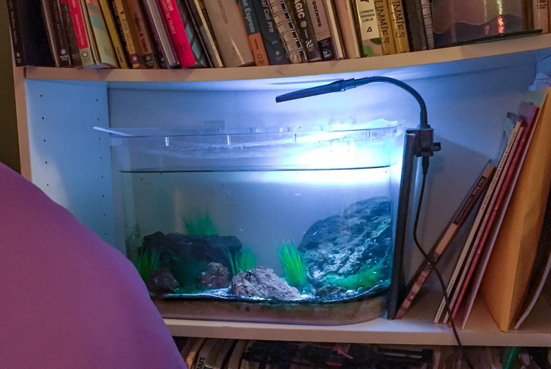 Tank1.jpg