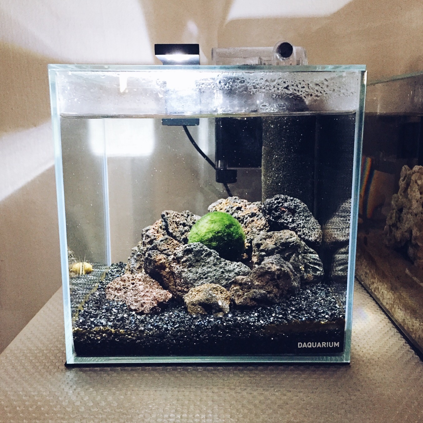 17x17cm tank