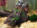 IMG_0525.JPG (2.73 MiB) Viewed 42928 times java fern babies