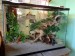 Jae Senji hermit crab terrarium crabitat 02