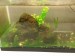 20160421_134541.jpg