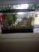 .5 gallon