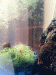 Shrimpies 3.gif