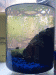 Shrimpies 4.gif