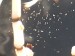 20170225_163215.jpg
