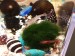 20170315_073404.jpg