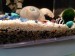 20170316_075711.jpg