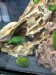 IMG_20170327_175142.jpg