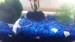 20170709_133704.jpg