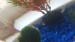 20170726_165549.jpg