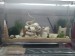 20170816_163407.jpg (5.06 MiB) Viewed 3308 times New tank by my window.