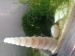 20170817_154742.jpg