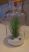 Jar 2