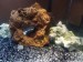 20170930_102039.jpg