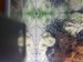 20170930_102213.jpg