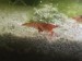 A0B598B3-C1E6-44DF-ADB6-5506B0008A3D.jpeg