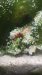 C1F7948F-1944-4EC7-AF84-4AA37C022943.png