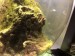 D54C2999-675B-4208-80B4-AC3102268B09.jpeg