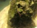 56C6B2C7-53AD-4832-BD08-300B4F6CB306.jpeg