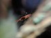 IMG_20180301_213650.jpg