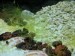 IMG-20180321-WA0027.jpg