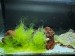 IMG-20180321-WA0026.jpg