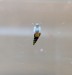 IMG-20180402-WA0001.jpg