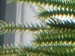 20180419_153646.jpg