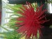 20180419_153815.jpg