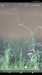 Screenshot_20180420-213352.png
