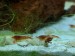 IMG-20180501-WA0009.jpg