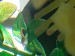 20180504_114244.jpg
