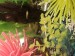 20180519_232102.jpg