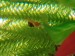20180502_083308.jpg