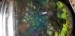 20180712_101525.jpg
