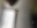 A1407F49-0B17-493E-BAE7-FF81D1E06C0B.jpeg