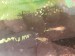 20180801_172332.jpg