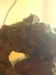 20181001_075214.jpg