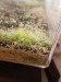 20181001_075232.jpg