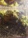 20181001_075245.jpg