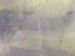 DAk1pVyOSkCbiWbrib1fOg.jpg