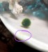 72027E10-3B42-4AAF-B96A-FA69333D02B4.jpeg