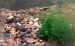 snailspeedster.gif