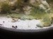 F0DE9121-49C9-4DD4-A1B3-A39479E9F290.jpeg
