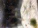 IMG-8904.JPG