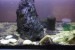 DSC02110.JPG