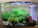 A768A054-D8AF-4BBE-88C8-9056B8746941.jpeg
